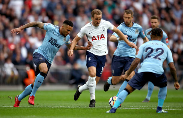 他都凭借坚 他都凭借坚